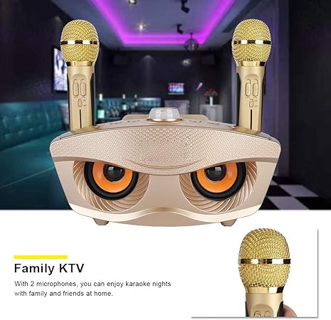 Dual Wireless Microphone Bluetooth Karaoke Speaker Set | Portable Karaoke System for Home, Parties, and Events Image
