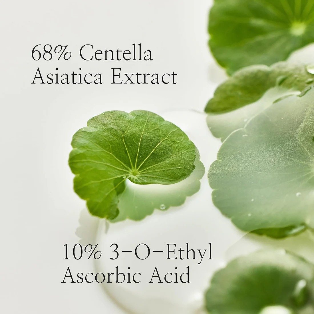 Beauty of Joseon Light On Serum: Centella + Vitamin C 30ml - Brightening & Calming Korean Serum for Even Tone Image