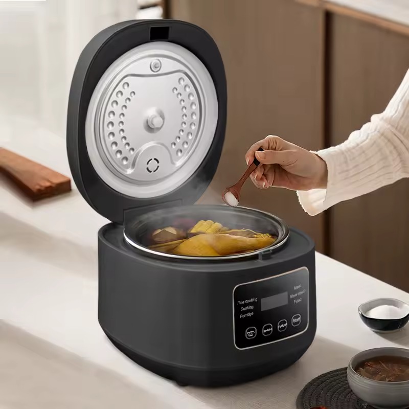 3L Smart Rice Cooker with Steamer - 24H Delay Start, Multi-Functional Cooker for 3-5 People, Includes Measuring Cup & Spoon (Multi Colour) Image