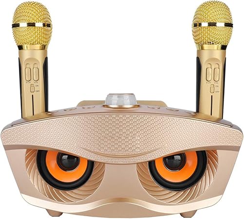 Dual Wireless Microphone Bluetooth Karaoke Speaker Set | Portable Karaoke System for Home, Parties, and Events Image