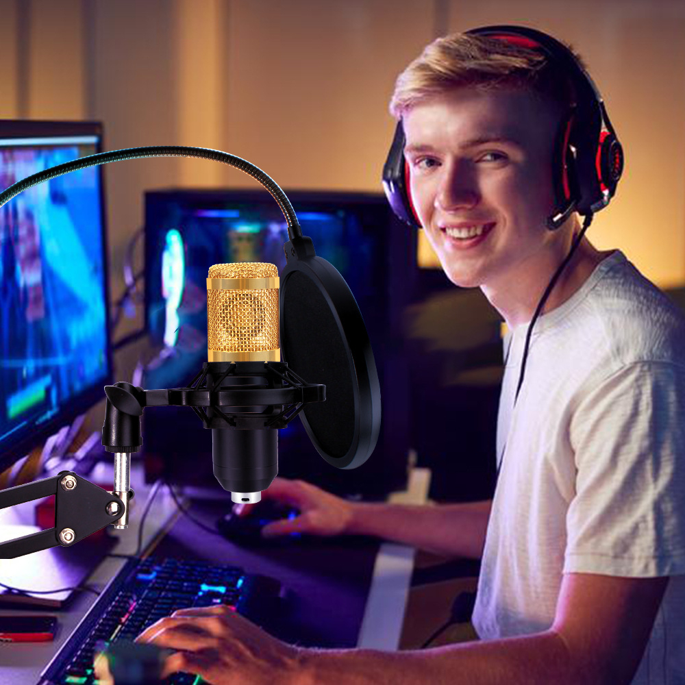 BM800 Condenser Microphone Kit - Professional Studio Recording & Live Stream Bundle with V8S Sound Card & Full Accessories Image