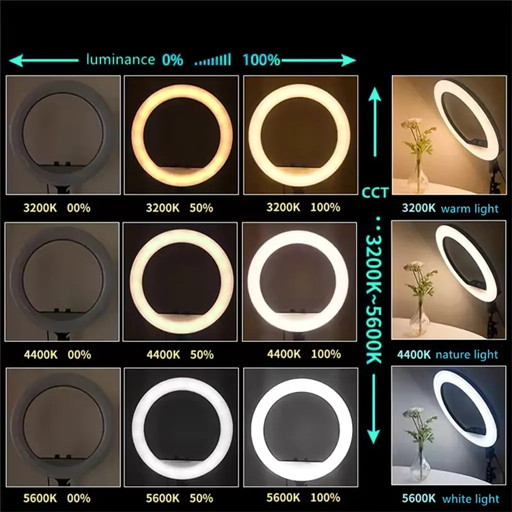 21-Inch Selfie Ring Light with Tripod Stand – Adjustable Photographic Lamp with 3 Mobile Holders Image