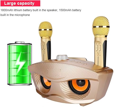 Dual Wireless Microphone Bluetooth Karaoke Speaker Set | Portable Karaoke System for Home, Parties, and Events Image
