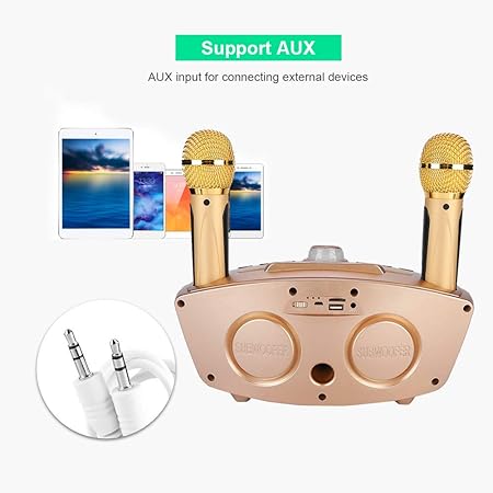 Dual Wireless Microphone Bluetooth Karaoke Speaker Set | Portable Karaoke System for Home, Parties, and Events Image