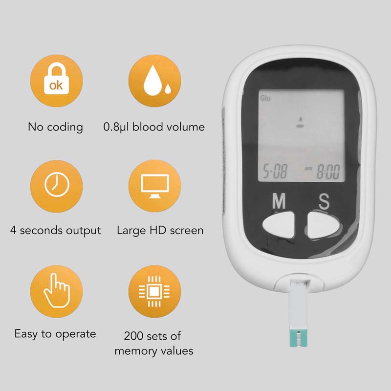 Blood Glucose Meter Large screen diabetes testing kit with tiny blood sample & coding. Essential diabetic supplies for monitoring. Image